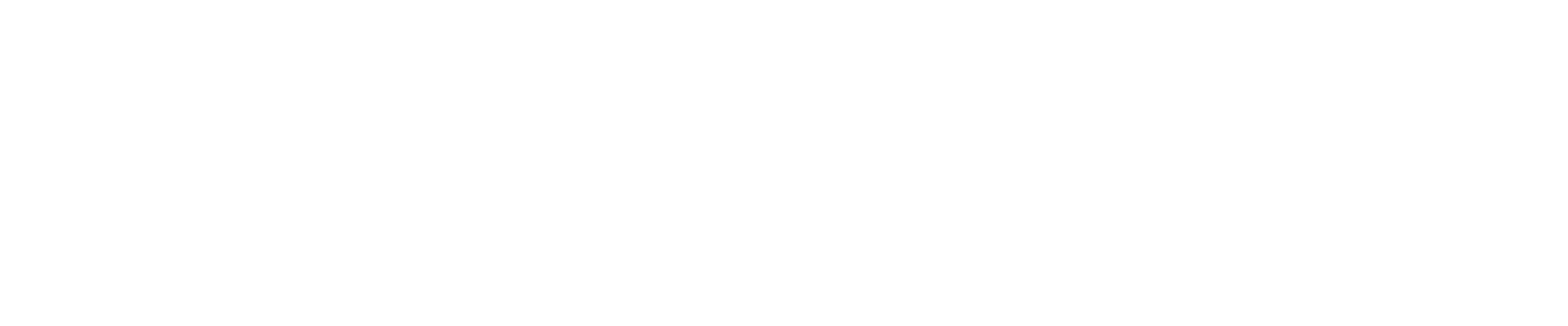 LOGO DESAFIO SEGMAQ BRANCO - NOME AO LADO - FUNDO TRANSPARENTE